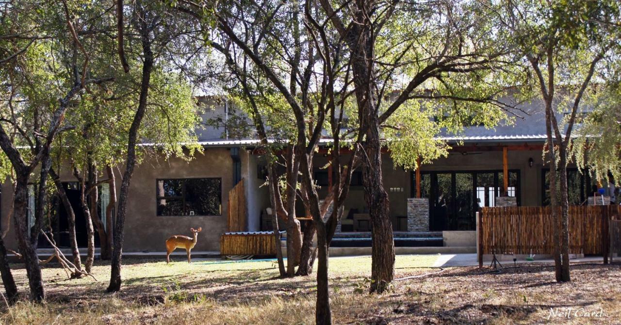 Dream Of Africa Bush Lodge Marloth Park Zewnętrze zdjęcie